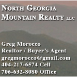 North Georgia Mountain Realty