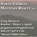 North Georgia Mountain Realty